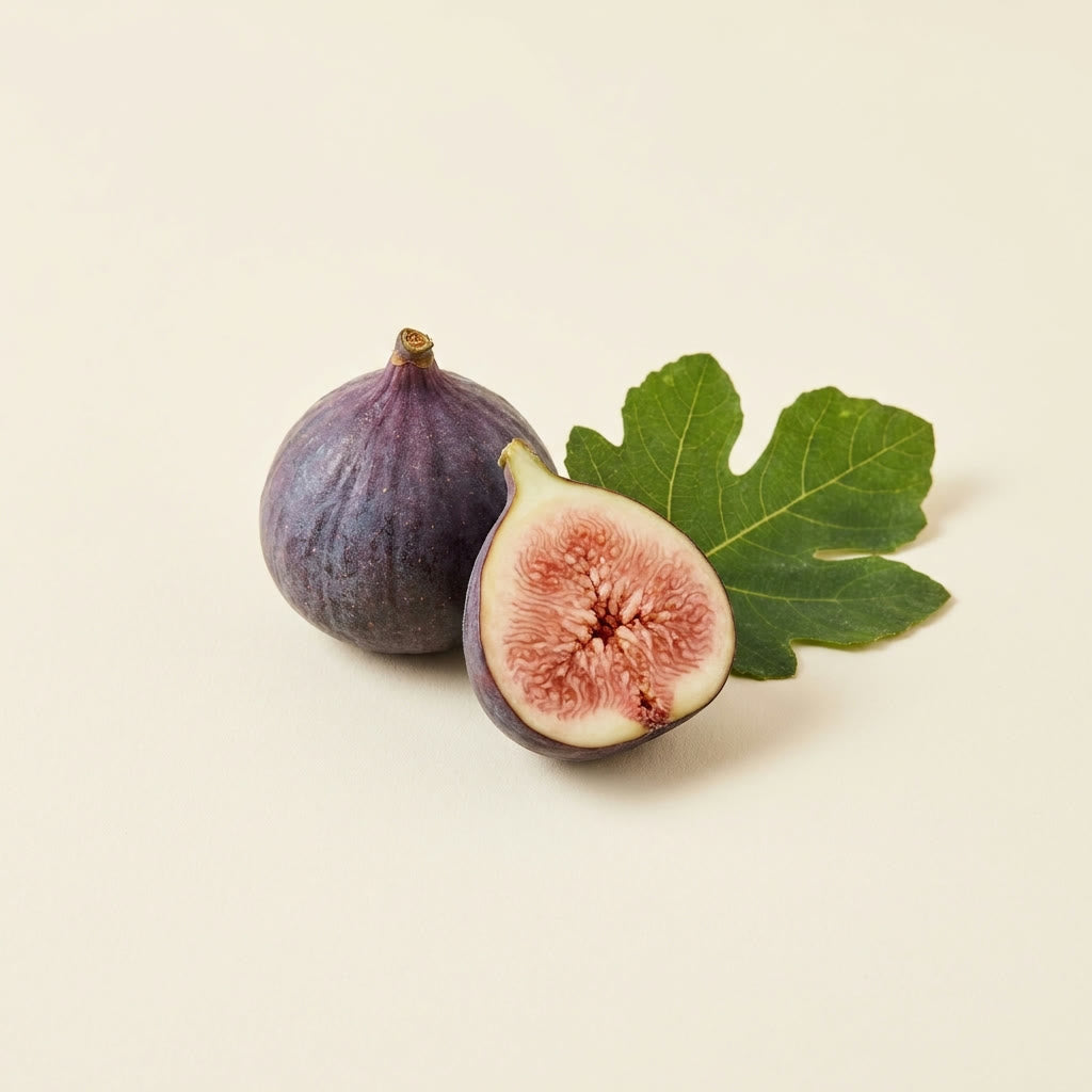 Fig Extract ingredient